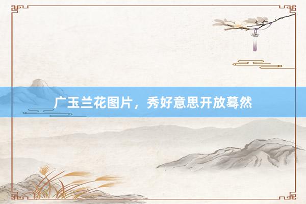 广玉兰花图片，秀好意思开放蓦然