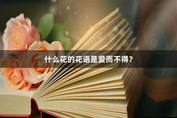 什么花的花语是爱而不得?